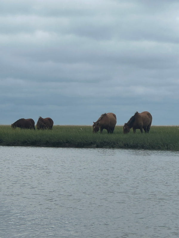 Rachel Carson Preserve Tour