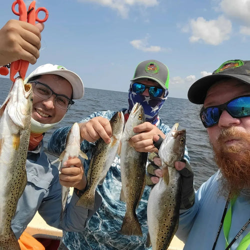 Toad Fish Mafia